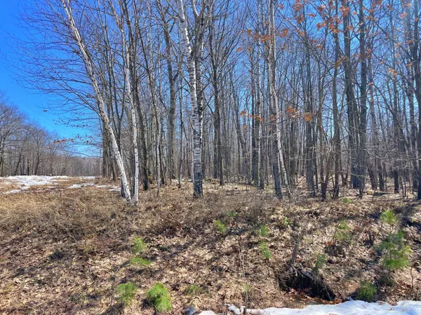 XXX Teal ST, Hinckley, MN 55037