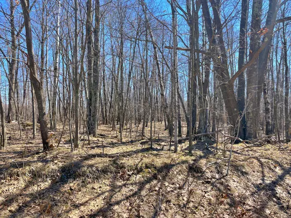 XXX Teal ST, Hinckley, MN 55037