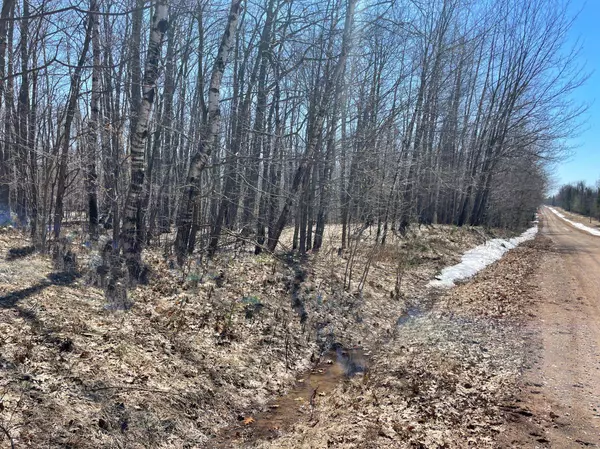 XXX Teal ST, Hinckley, MN 55037