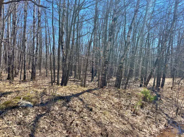 XXX Teal ST, Hinckley, MN 55037