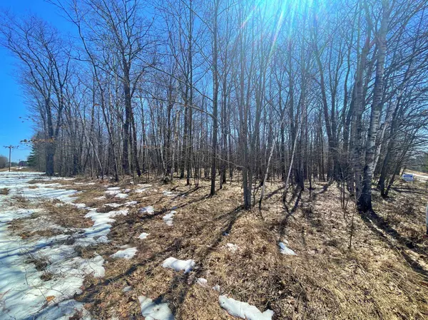 XXX Teal ST, Hinckley, MN 55037