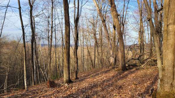 31048 Norway, Glendale, WI 54638