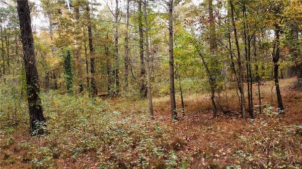 0 Old Mountain RD NW, Marietta, GA 30064