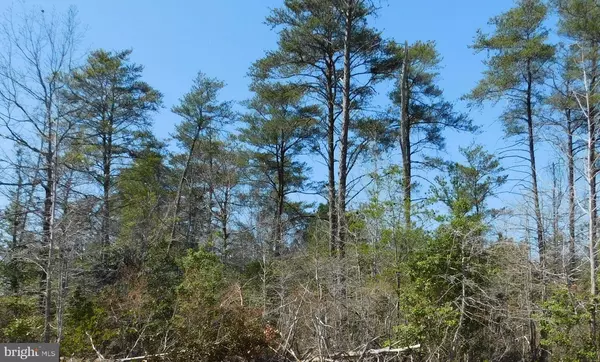 35-81 STONY KNOLL RD, King George, VA 22485