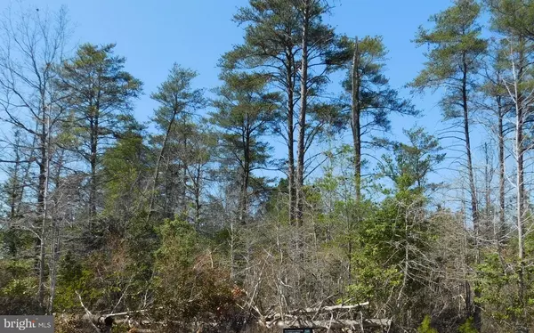 35-81C STONEY KNOLL RD, King George, VA 22485