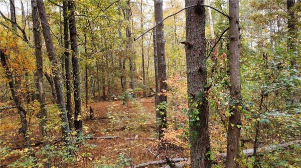 0 Old Mountain RD NW, Marietta, GA 30064