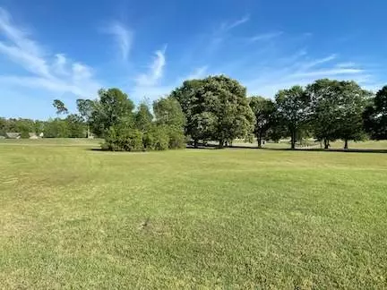 429 Pine Lake Ct., Manning, SC 29102