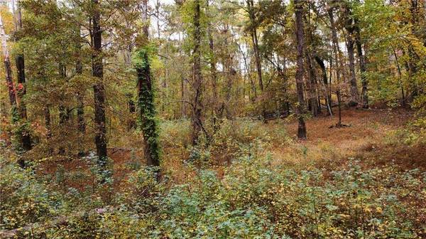 0 Old Mountain RD NW, Marietta, GA 30064