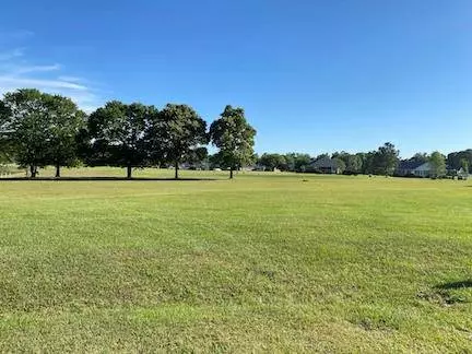 429 Pine Lake Ct., Manning, SC 29102