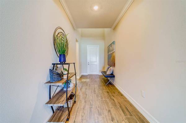 8251 OLYMPIC STONE CIR, Trinity, FL 34655