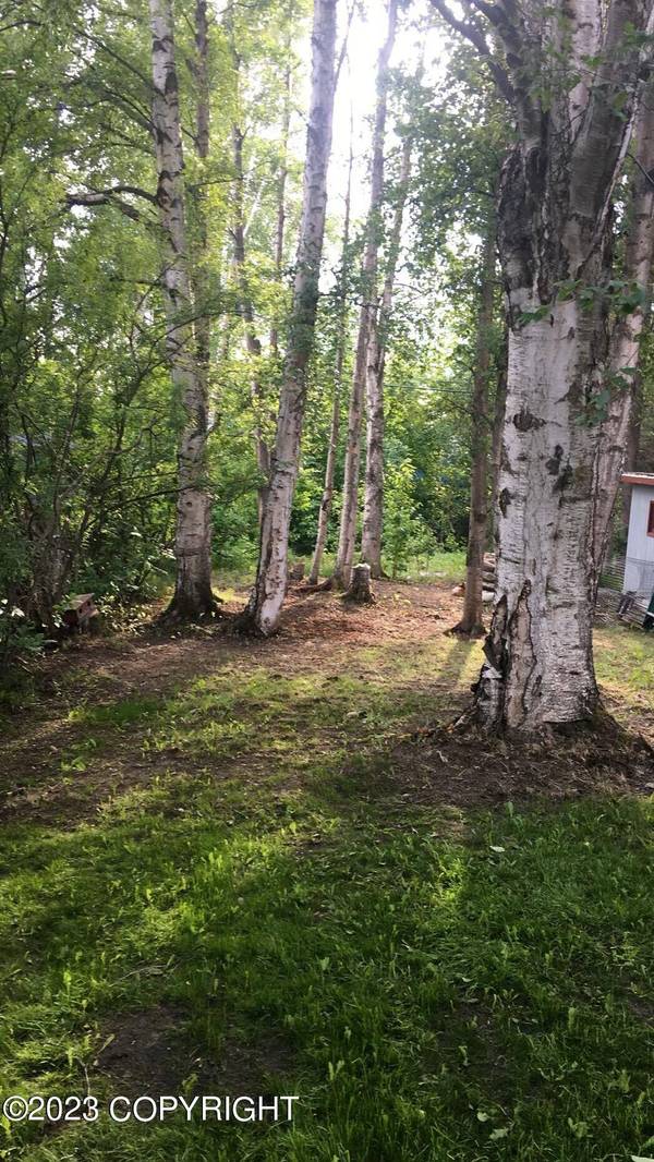 3810 Barbara DR, Anchorage, AK 99517