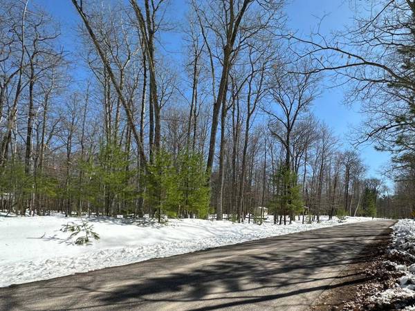 ON YELLOW BIRCH RD, Eagle River, WI 54521