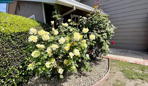 896 Brittany Ln, Concord, CA 94518