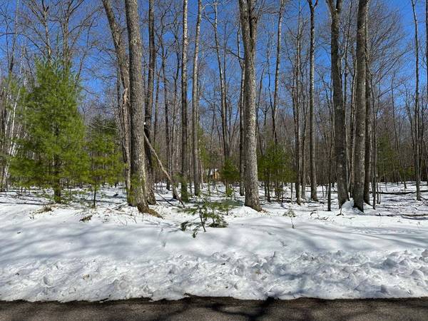 ON YELLOW BIRCH RD, Eagle River, WI 54521