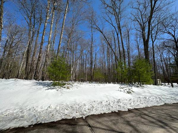 ON YELLOW BIRCH RD, Eagle River, WI 54521