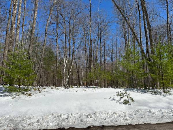 ON YELLOW BIRCH RD, Eagle River, WI 54521