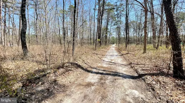 2118 WAVERLY AVE, Atco, NJ 08004