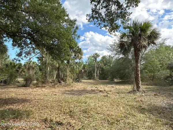 0 Soggy Bottom Avenue, West Cocoa, FL 32926