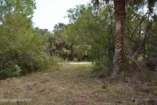 0 Soggy Bottom Avenue, West Cocoa, FL 32926