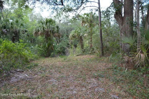 0 Soggy Bottom Avenue, West Cocoa, FL 32926