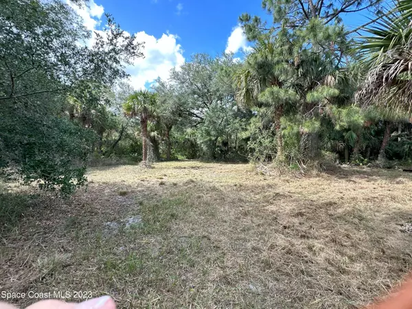 0 Soggy Bottom Avenue, West Cocoa, FL 32926