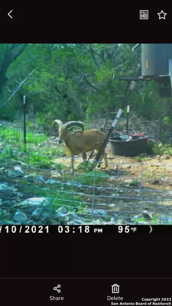 209 Silver Creek Ranch, Uvalde, TX 78801