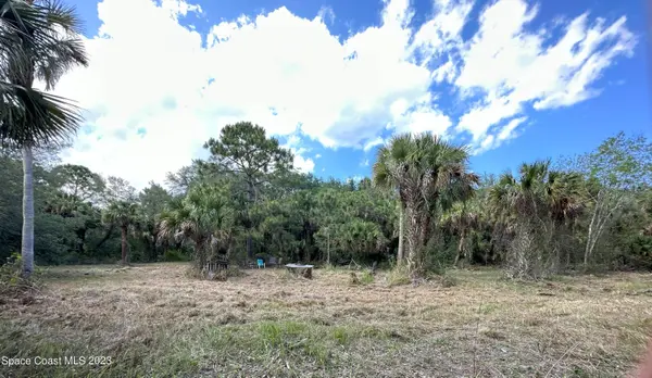 0 Soggy Bottom Avenue, West Cocoa, FL 32926