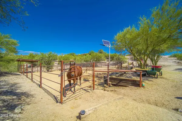810 N SOPHIE BURDEN Road, Wickenburg, AZ 85390