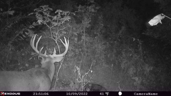 XX County Road TA, Farmington, WI 54644