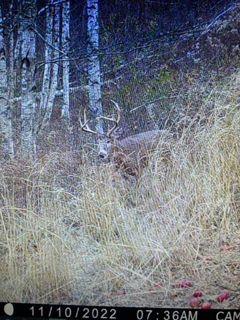 XX County Road TA, Farmington, WI 54644