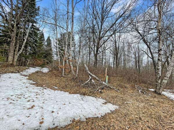 39229 W Arrowhead DR, Pine River, MN 56474