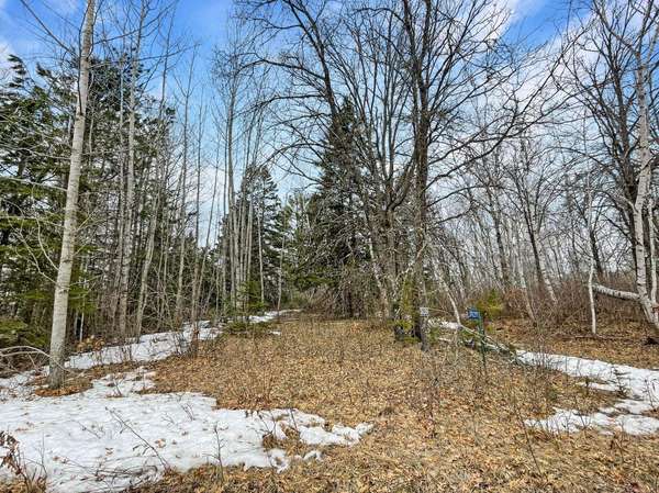 39229 W Arrowhead DR, Pine River, MN 56474