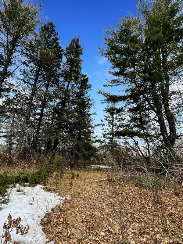 39229 W Arrowhead DR, Pine River, MN 56474