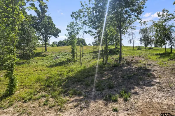 Southshore Lot 16, Pittsburg, TX 75686