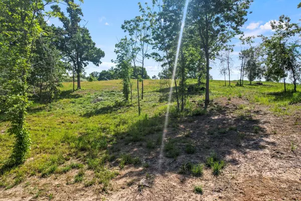 Southshore Lot 16, Pittsburg, TX 76868