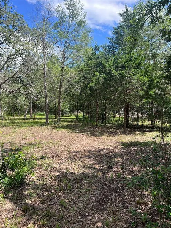 5539 Fm 332, Brenham, TX 77833