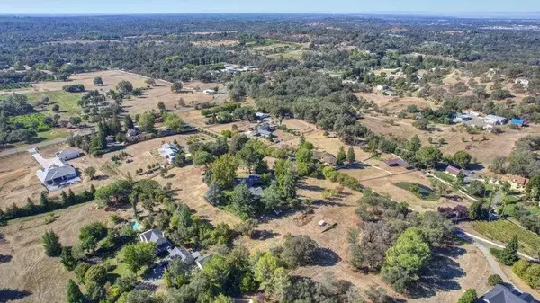 0 valley quail, Loomis, CA 95650