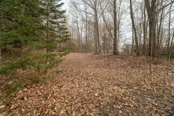 V/L Lot 7 Fourth Avenue, Onekama, MI 49675