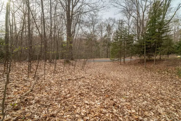 V/L Lot 7 Fourth Avenue, Onekama, MI 49675