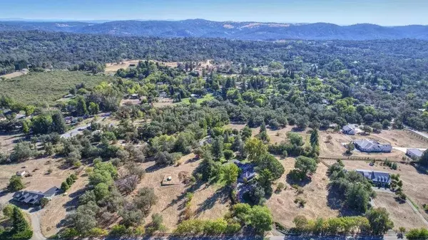 0 valley quail, Loomis, CA 95650