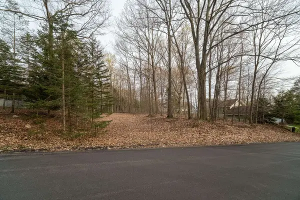 V/L Lot 7 Fourth Avenue, Onekama, MI 49675