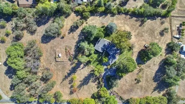 0 valley quail, Loomis, CA 95650