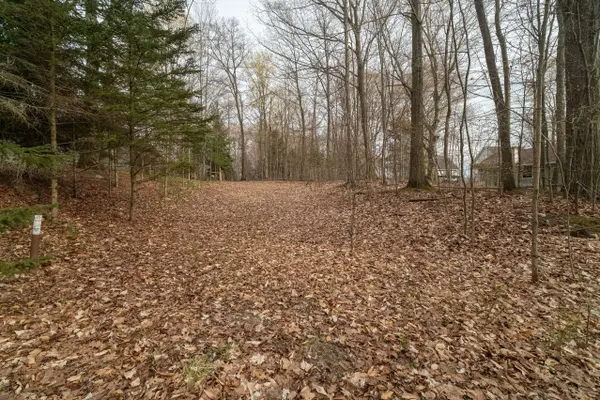 V/L Lot 7 Fourth Avenue, Onekama, MI 49675