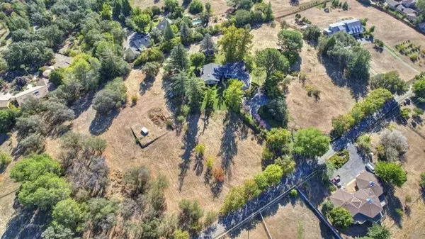 0 valley quail, Loomis, CA 95650