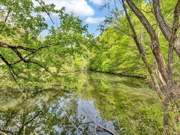 135 Jetty WAY, Bybee, TN 37713