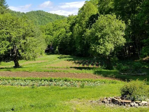 4302 Pigeon Roost RD, Green Mountain, NC 28740