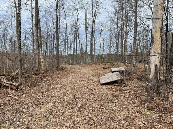 11179N Blue Heron Lane, Hayward, WI 54843