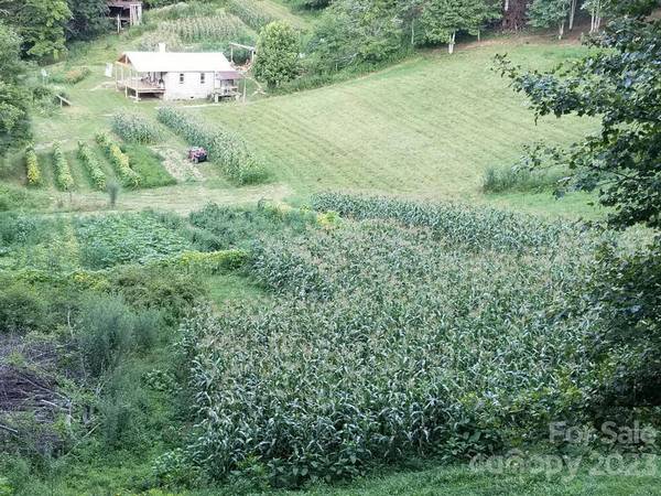 4302 Pigeon Roost RD, Green Mountain, NC 28740