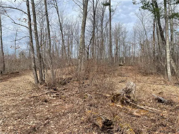 11179N Blue Heron Lane, Hayward, WI 54843