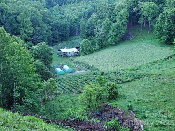 4302 Pigeon Roost RD, Green Mountain, NC 28740